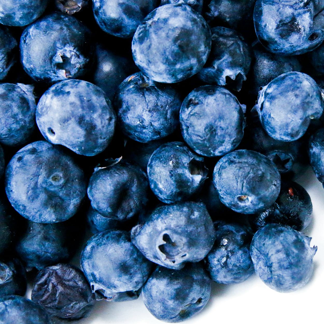 Billberries