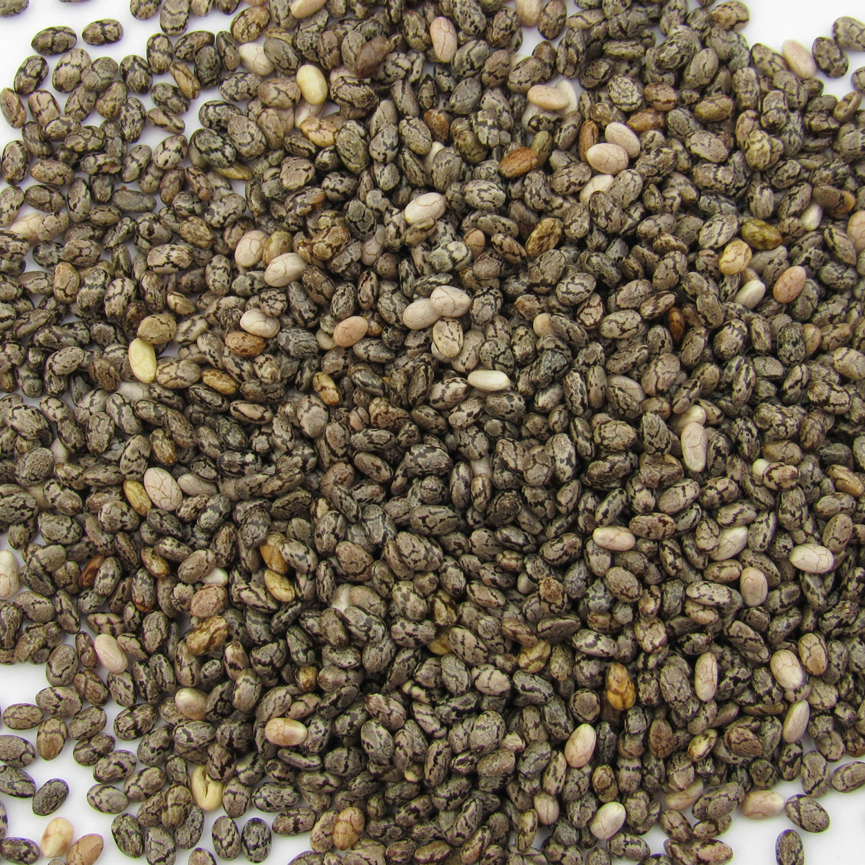 Chia seeds