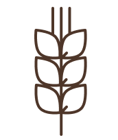 gluten-free-icon
