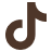 Tiktok icon